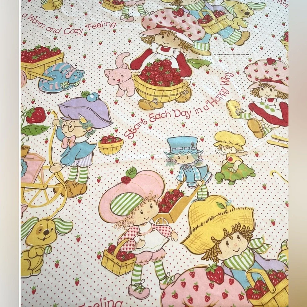 Vintage Strawberry Shortcake 3 Piece Twin Sheet Set 1980s - Fitted, Flat & Case